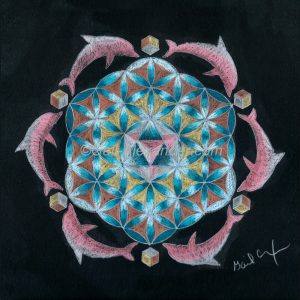 Pink Flower of Life Dolphin Mandala by Gail Alexander